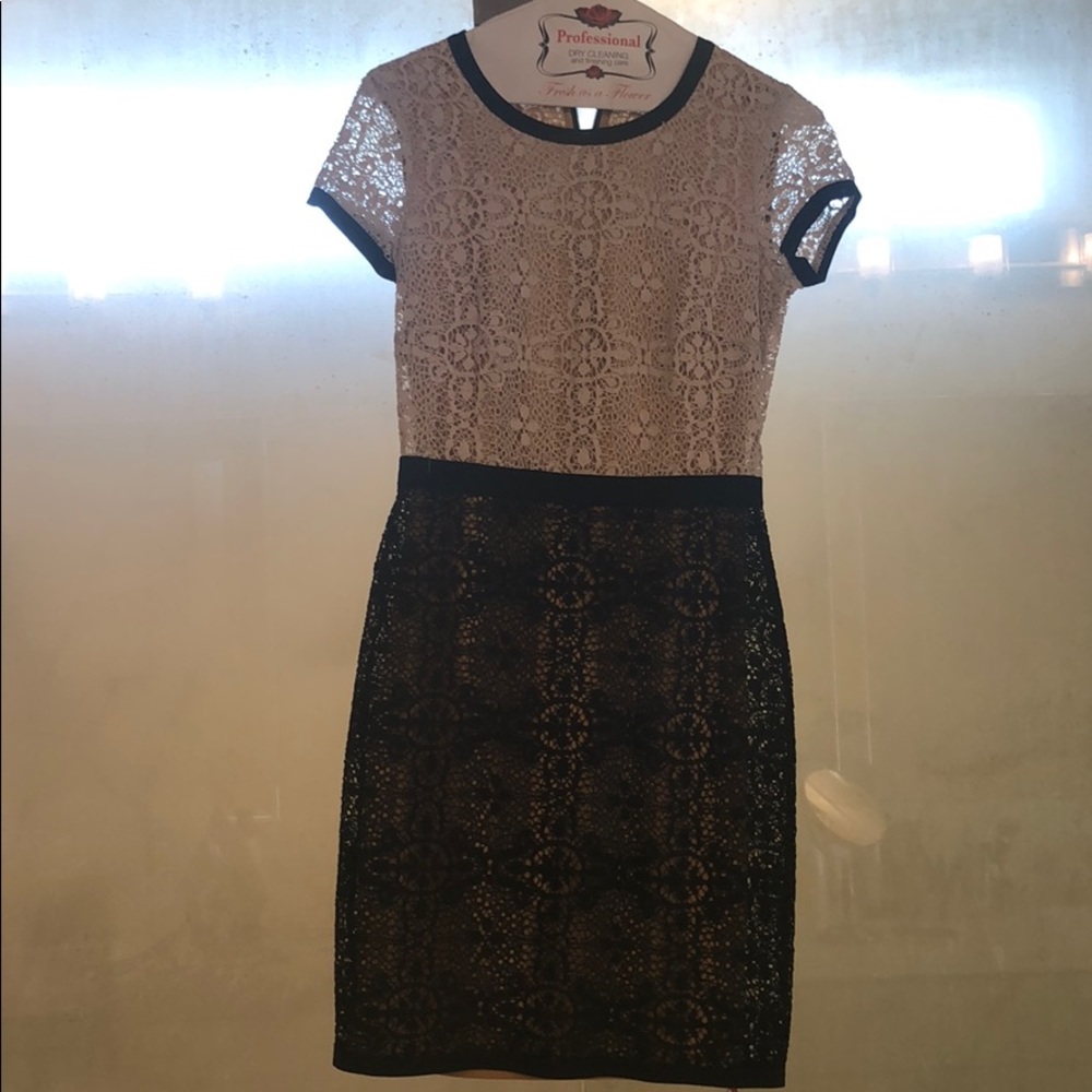 Bailey 44 cream and black lace dress